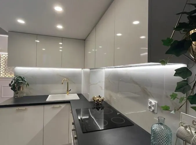 Piotrkowska Rabarbar Lejlighed *