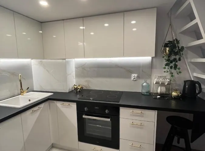 Piotrkowska Rabarbar Lejlighed *